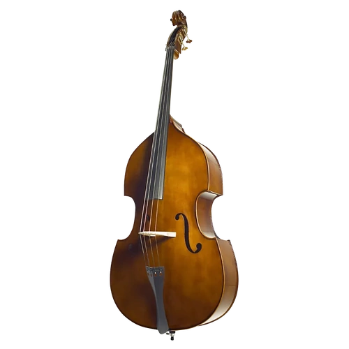 Stentor 3/4 Size Double Bass - Mid Chestnut