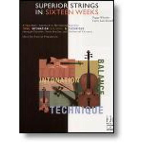 Superior Strings In Sixteen Weeks (Book)
