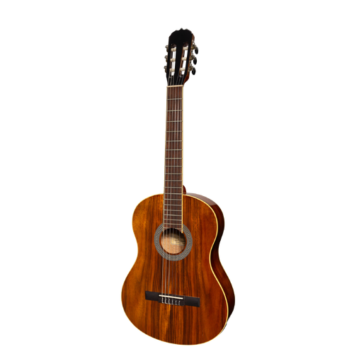 Sanchez SC-39G-RWD Full Size Student Classical Acoustic Guitar with Rosewood Finish