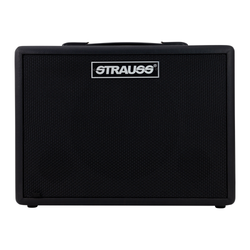 Strauss GN15 15 Watt Vintage Guitar Combo Amplifier with Built-in Overdrive and Delay