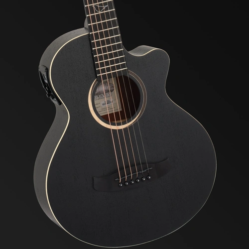 Tanglewood Blackbird TB2-CE Super Folk Traveller Cutaway/Electric Guitar Smokestack Satin