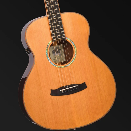 Tanglewood Rosewood Smart Mini Folk Acoustic/Electric Guitar with Enya SP1 EQ System TRS1-E