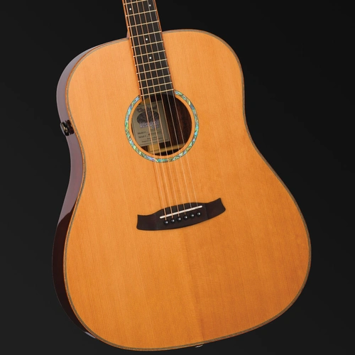 Tanglewood Rosewood Smart Sloped Shoulder Dreadnought Acoustic/Electric Guitar with Enya SP1 EQ System TRS5-SE