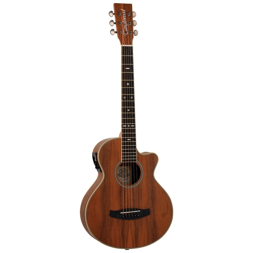 Tanglewood Reunion Pro TRU2-CE-AW All Figured Black Walnut Solid Top Traveller Super Folk Guitar