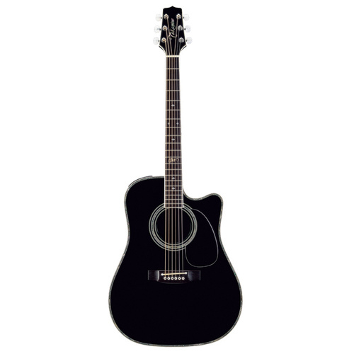 Takamine "Steve Wariner" Artist Series Dreadnought AC/EL Guitar with Cutaway