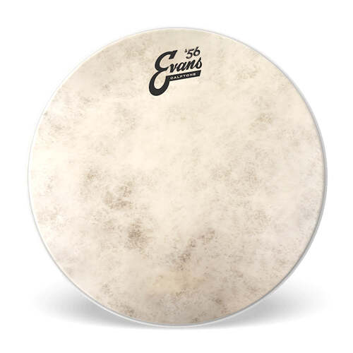Evans TT16C7 Calftone Tom Batter Drumhead – 16 Inch