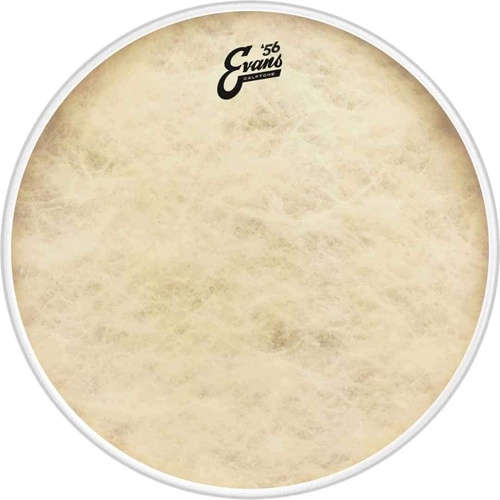 Evans 16 Inch Calftone Drum Head with Tom Hoop for Metal Flange Counter Hoops