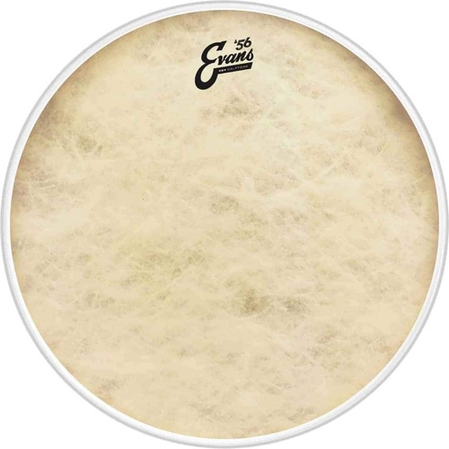 Evans 16 Inch EQ4 Calftone Drum Head with Tom Hoop and Level 360 Technology