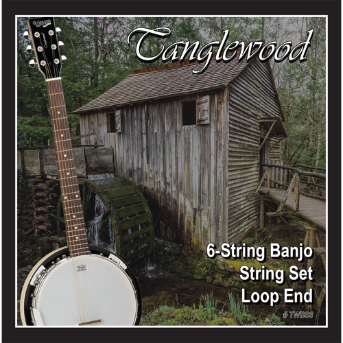 Tanglewood TWBS6 6-String Banjo String Set Loop End