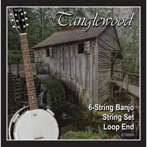 Tanglewood TWBS6 Banjo 6-String Set - Loop End