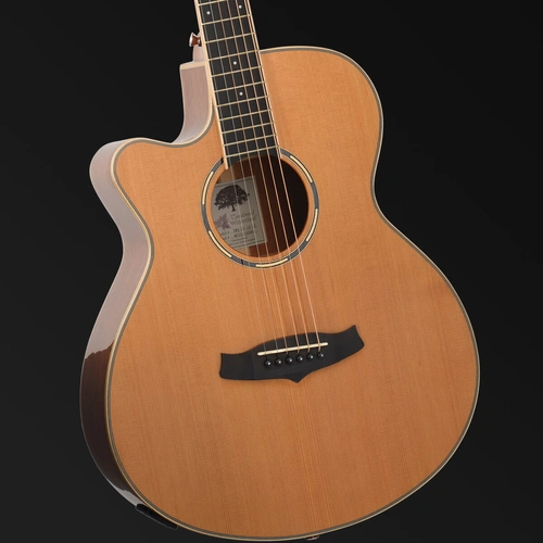 Tanglewood Winterleaf Pro Super Folk C/E Left-Hand Acoustic Guitar TWPRO4-CE-NA-LH
