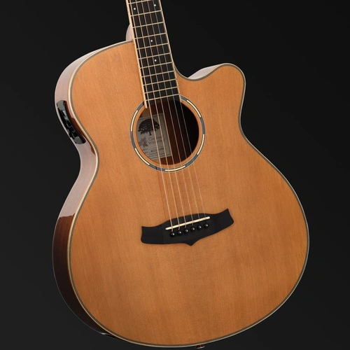 Tanglewood Winterleaf Pro Super Folk C/E Acoustic Guitar Natural Gloss Finish TWPRO4-CE-NA