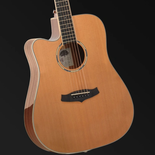 Tanglewood Winterleaf Pro Dreadnought C/E Acoustic Left Handed Guitar TWPRO5-CE-NA-LH