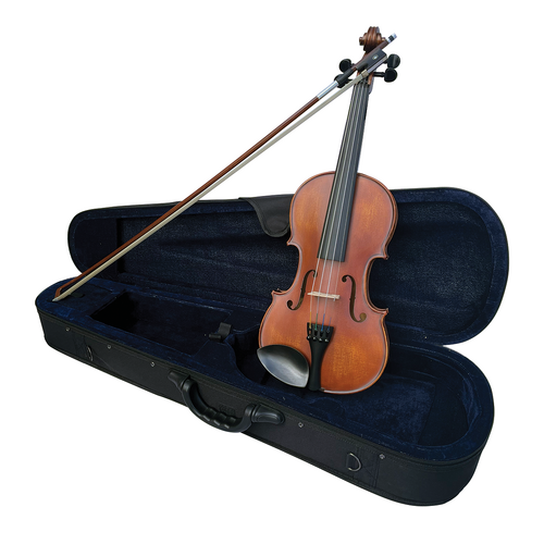 Vivo Alpha 4/4 Student Violin Outfit with Professional Setup and Thomastik Alphayue Strings