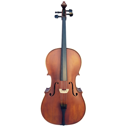 Vivo Elite Cello 4/4 Outfit with Solid Spruce Top and Flamed Maple Back, Ebony Fingerboard, and Lightweight Poly-Foam Case